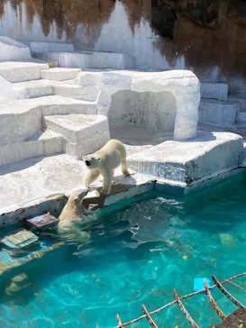天王寺動物園に投稿された画像（2022/5/3）