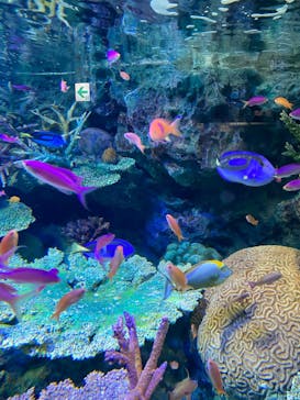 サンシャイン水族館に投稿された画像（2022/5/3）