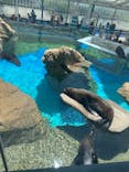京都水族館に投稿された画像（2022/5/3）