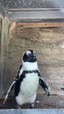 京都水族館に投稿された画像（2022/5/3）