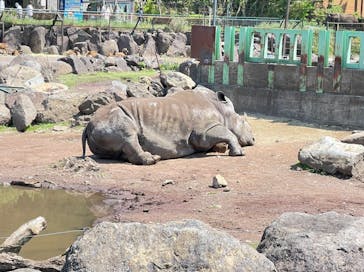 伊豆アニマルキングダムに投稿された画像（2022/5/3）