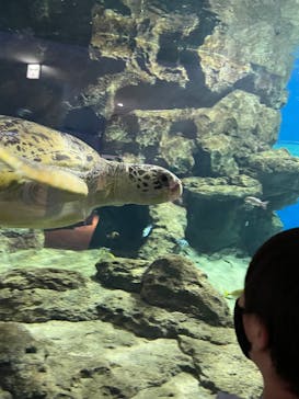 名古屋港水族館に投稿された画像（2022/5/3）