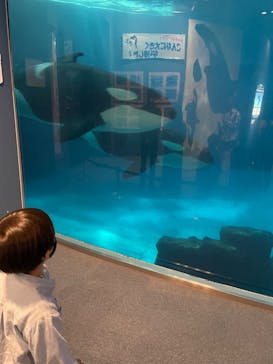 名古屋港水族館に投稿された画像（2022/5/3）