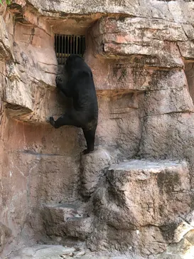 天王寺動物園に投稿された画像（2022/5/3）
