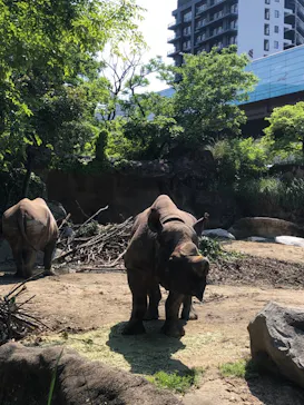 天王寺動物園に投稿された画像（2022/5/3）