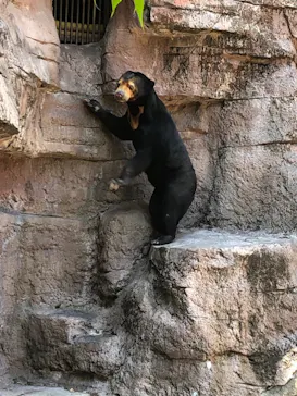 天王寺動物園に投稿された画像（2022/5/3）