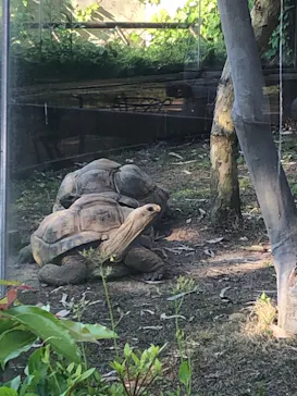 天王寺動物園に投稿された画像（2022/5/3）
