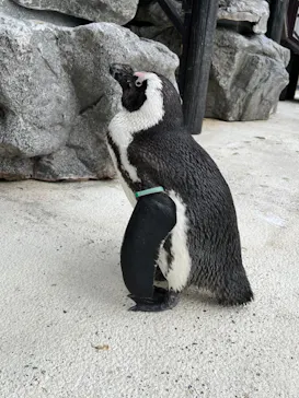 横浜・八景島シーパラダイスに投稿された画像（2022/5/3）