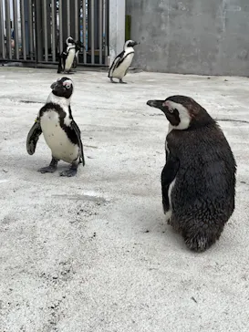横浜・八景島シーパラダイスに投稿された画像（2022/5/3）