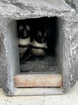 横浜・八景島シーパラダイスに投稿された画像（2022/5/3）