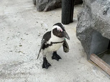 横浜・八景島シーパラダイスに投稿された画像（2022/5/3）