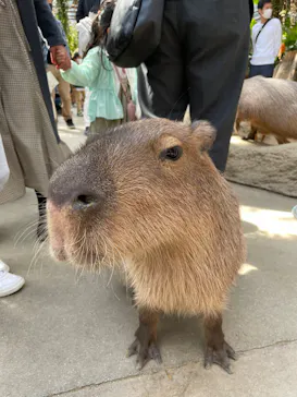 神戸どうぶつ王国に投稿された画像（2022/5/3）