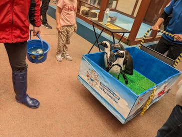 ゼロ距離水族館 伊勢シーパラダイスに投稿された画像（2022/5/3）