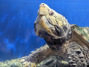 ゼロ距離水族館 伊勢シーパラダイスに投稿された画像（2022/5/3）