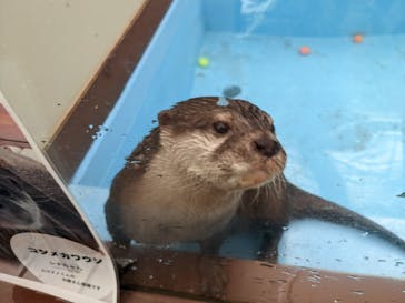 ゼロ距離水族館 伊勢シーパラダイスに投稿された画像（2022/5/3）