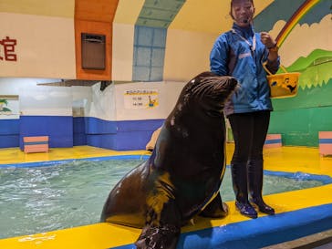 ゼロ距離水族館 伊勢シーパラダイスに投稿された画像（2022/5/3）