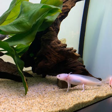 サンシャイン水族館に投稿された画像（2022/5/3）