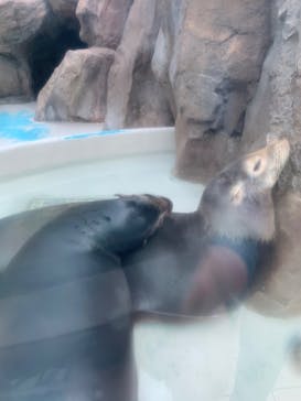 サンシャイン水族館に投稿された画像（2022/5/3）