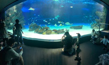 サンシャイン水族館に投稿された画像（2022/5/3）