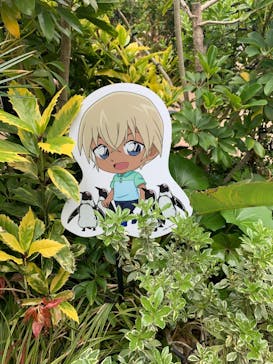 サンシャイン水族館に投稿された画像（2022/5/3）