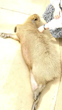 横浜・八景島シーパラダイスに投稿された画像（2022/5/3）