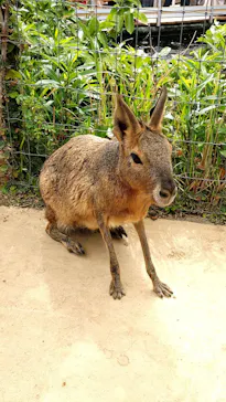 横浜・八景島シーパラダイスに投稿された画像（2022/5/3）
