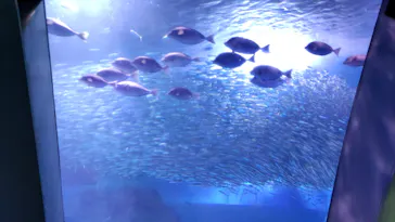 横浜・八景島シーパラダイスに投稿された画像（2022/5/3）