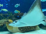 サンシャイン水族館に投稿された画像（2022/5/4）