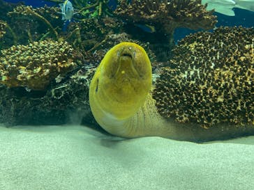 サンシャイン水族館に投稿された画像（2022/5/3）