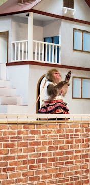 東北サファリパークに投稿された画像（2022/5/3）