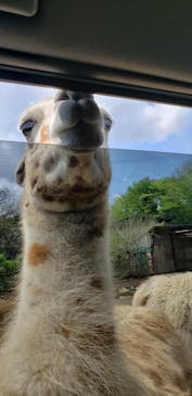 東北サファリパークに投稿された画像（2022/5/3）