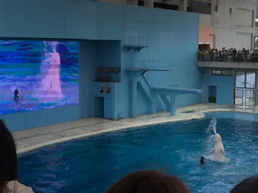横浜・八景島シーパラダイスに投稿された画像（2022/5/3）