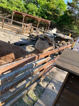 長崎バイオパークに投稿された画像（2022/5/3）