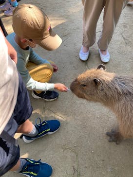 長崎バイオパークに投稿された画像（2022/5/3）