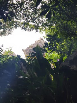 アスムイハイクスに投稿された画像（2022/5/3）