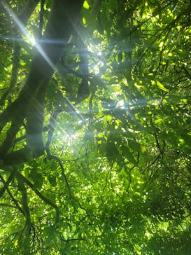 アスムイハイクスに投稿された画像（2022/5/3）