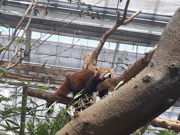 神戸どうぶつ王国に投稿された画像（2022/5/3）