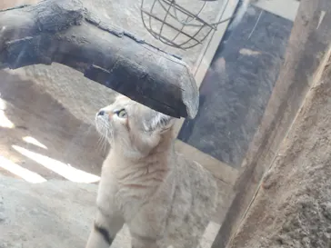 神戸どうぶつ王国に投稿された画像（2022/5/3）