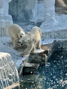 天王寺動物園に投稿された画像（2022/5/3）