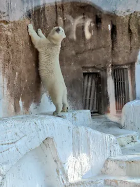 天王寺動物園に投稿された画像（2022/5/3）