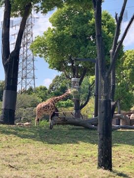 よこはま動物園ズーラシアに投稿された画像（2022/5/3）