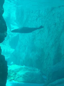 よこはま動物園ズーラシアに投稿された画像（2022/5/3）