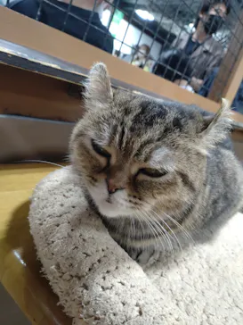 神戸どうぶつ王国に投稿された画像（2022/5/3）