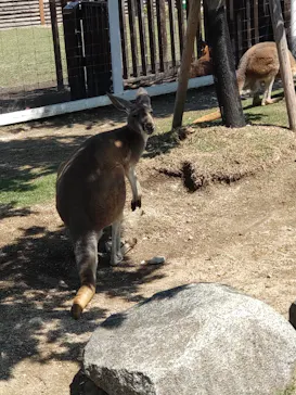 神戸どうぶつ王国に投稿された画像（2022/5/3）