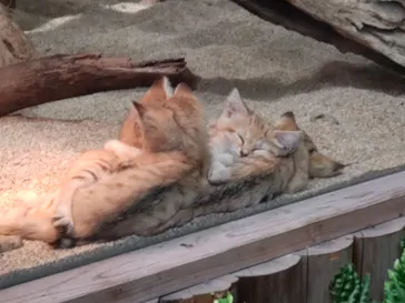 神戸どうぶつ王国に投稿された画像（2022/5/3）