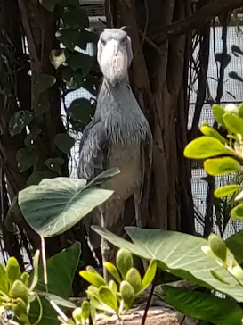 神戸どうぶつ王国に投稿された画像（2022/5/3）