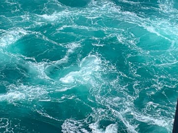 徳島県立 渦の道に投稿された画像（2022/5/3）