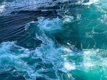 徳島県立 渦の道に投稿された画像（2022/5/3）