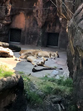 天王寺動物園に投稿された画像（2022/5/3）