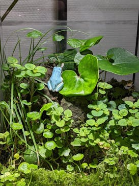 城崎マリンワールドに投稿された画像（2022/5/3）